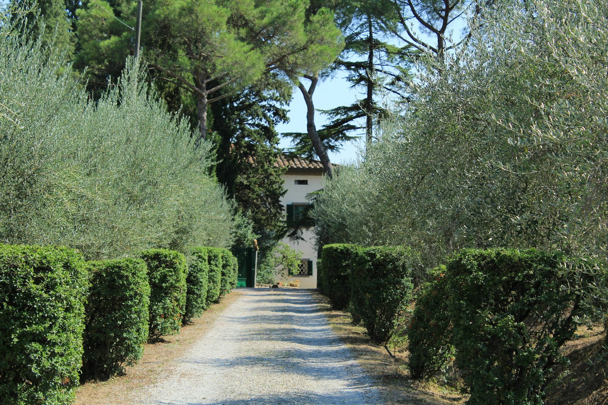 Agriturismo Villa La Morina Cortona Ngoại thất bức ảnh